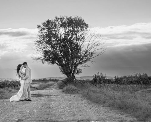 Ασπρόμαυρη φωτογραφία τοπίου με ένα μοναχικό δέντρο σε χωματόδρομο.