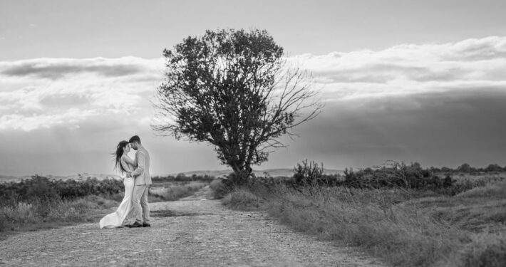 Ασπρόμαυρη φωτογραφία τοπίου με ένα μοναχικό δέντρο σε χωματόδρομο.